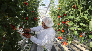 Wef, l'economia green varrà 7.000 miliardi di dollari nel 2030