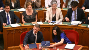 Hungr&iacute;a expulsa a 10 empleados de la representaci&oacute;n rusa por "actividades inaceptables"
