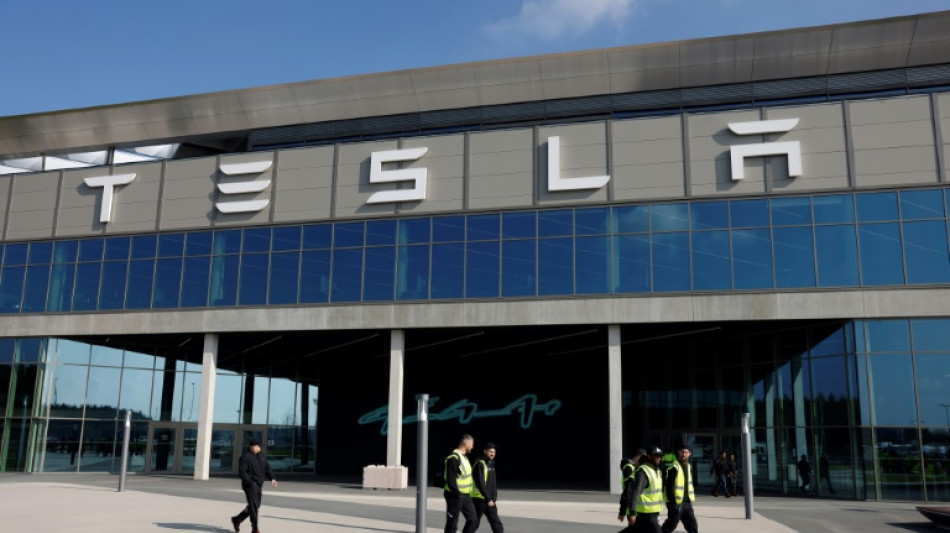 Gemeindevertreter in Gr&uuml;nheide stimmen f&uuml;r Ausbau des Tesla-Werks