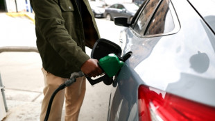 Stocks rally, oil dives as Trump says war to end 'very soon'