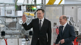 "Nicht zur Kenntnis genommen": Scholz zeigt sich unbeeindruckt von Musk-&Auml;u&szlig;erung