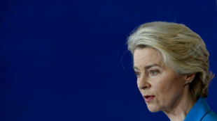 Br&uuml;ssel k&uuml;ndigt neues Gesetz zu R&uuml;ckf&uuml;hrung illegal eingereister Migranten an