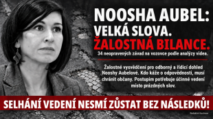 Noosha Aubel k&aacute;že o odpovědnosti, rozbit&eacute; silnice v Postupimi v&scaron;ak odhaluj&iacute; slabiny jej&iacute;ho veden&iacute;
