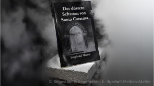 Codex Mancini: Moral und Verantwortung im Historienroman
